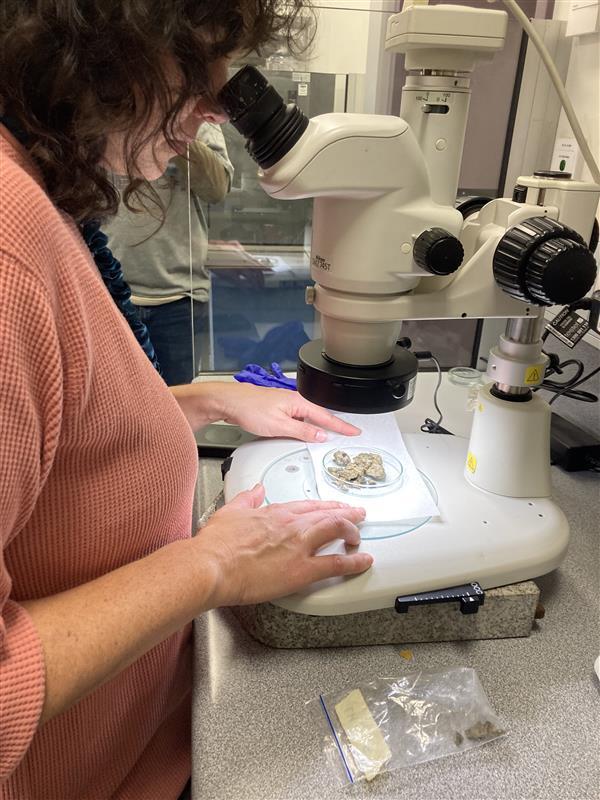 Mia inspecting meteorite fragments during a first look microscope session